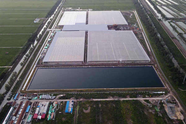 大赞！吉林石化研究院创新环境监测业务！