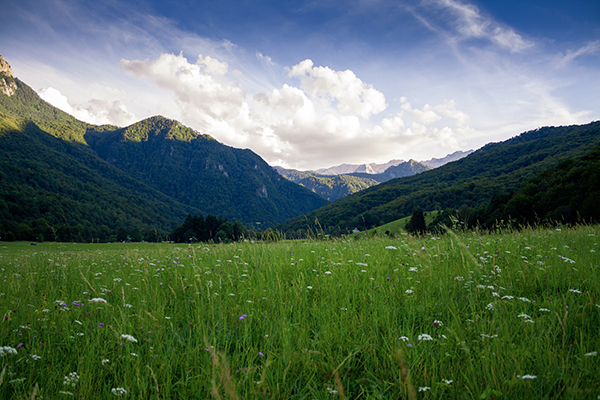 环境监测系统如何帮助农业减少浪费和提高生产效率?(图1) grass field and mountain ranges.jpg